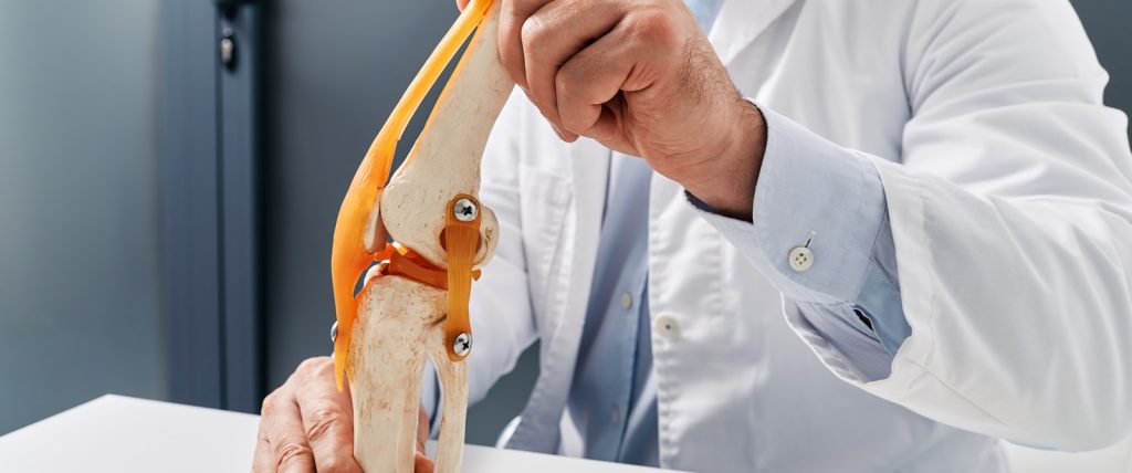 Treatment for knee injuries. Anatomical model of human knee joint on doctor table in orthopedics center