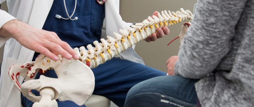 Orthopedic doctor holding a spine model