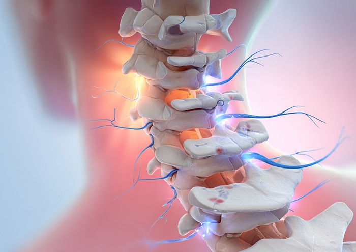 Diagram of cervical spine & nerves