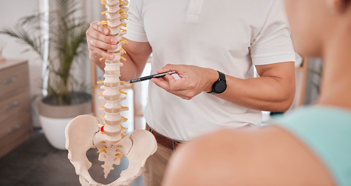 Chiropractor demonstrating spine conditions