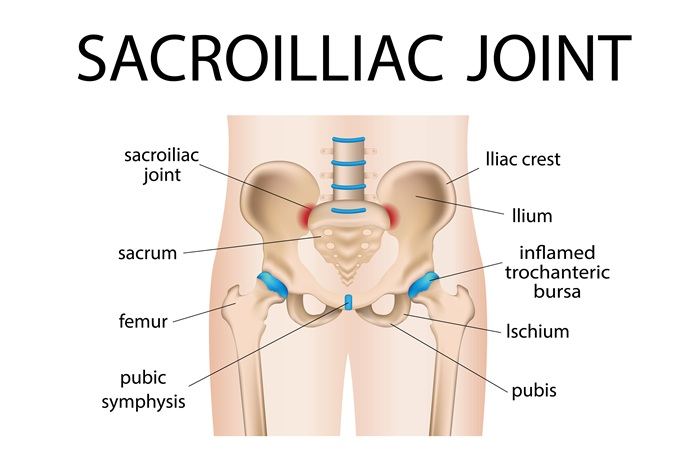 Diagram of SI joints