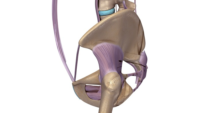 Side (lateral) hip diagram