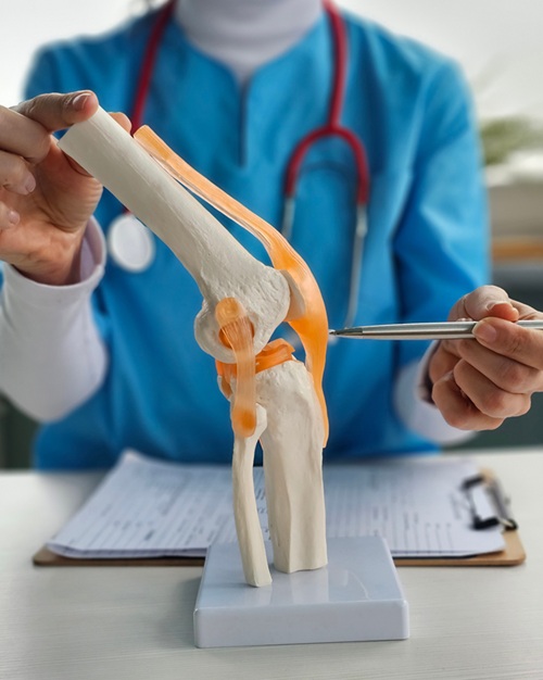 Doctor using model to explain knee pain
