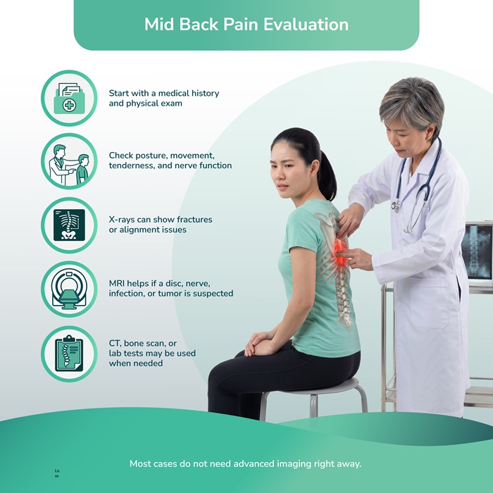 Middle back pain evaluation infographic