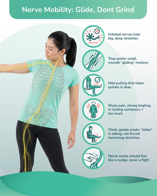 Nerve mobility